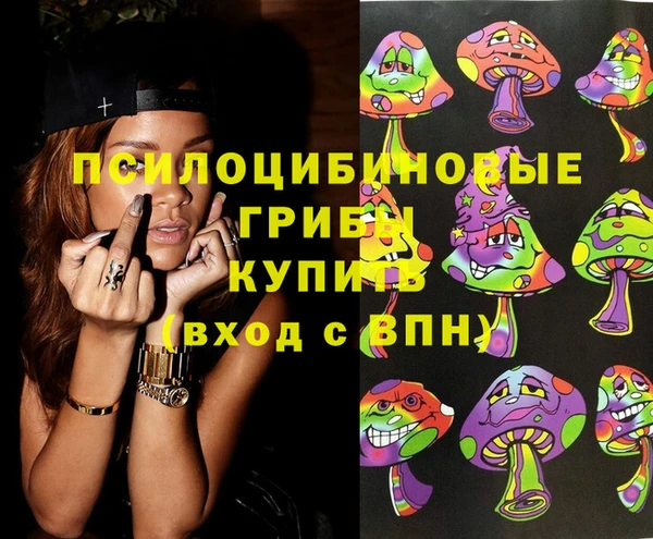 ГАЛЛЮЦИНОГЕННЫЕ ГРИБЫ Баксан